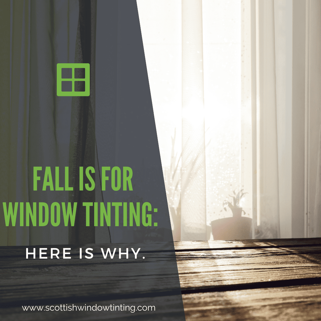 Fall is for Window Tinting: Here is Why