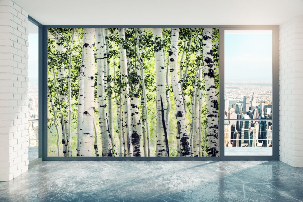 window film with trees
