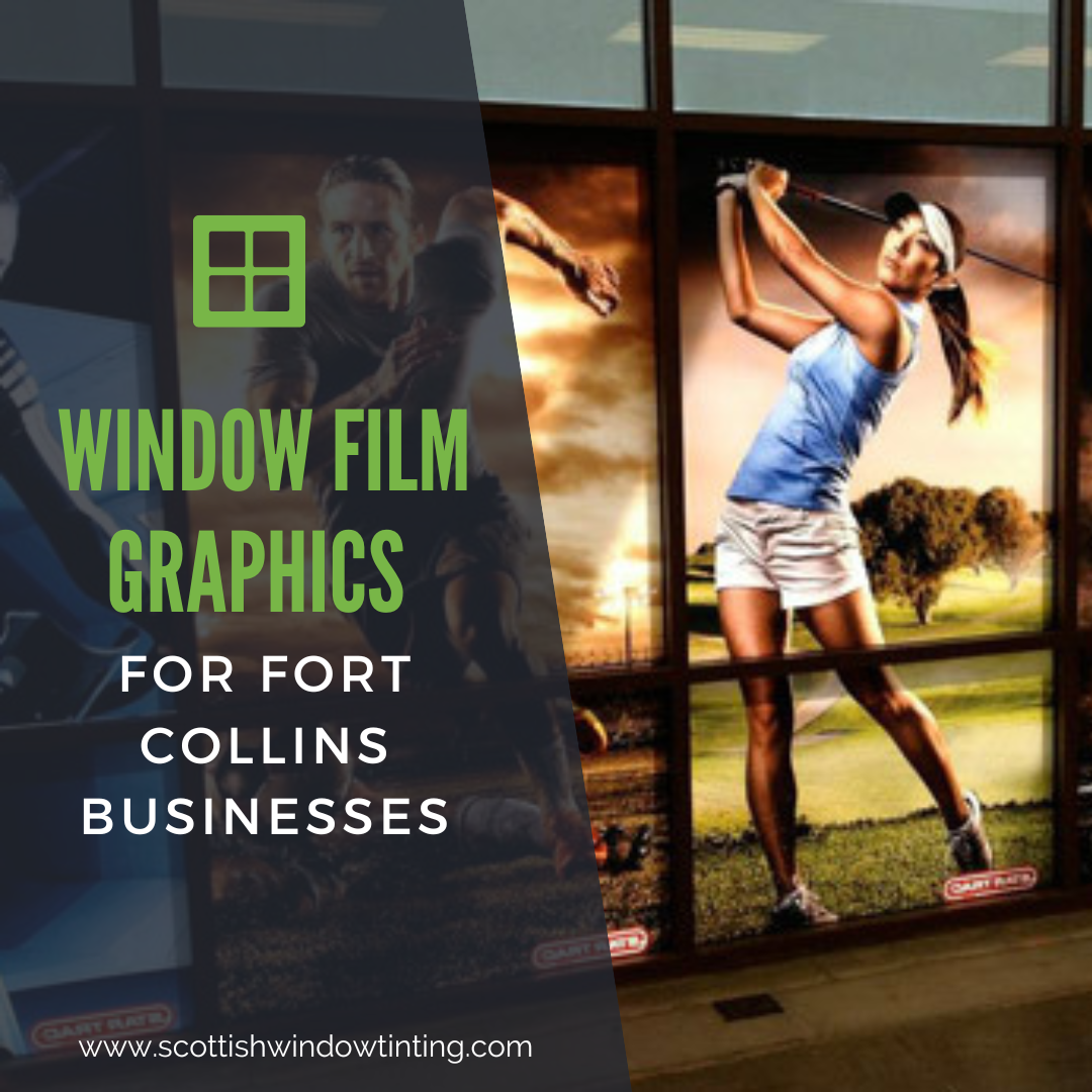 Window Film Graphics for Fort Collins Businesses